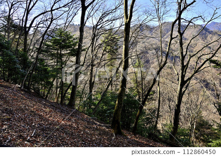 從丹澤根室山眺望野野女和鍋嵐 112860450