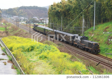 油花與JR九州的50系乘用車「SL人吉」、「DL人吉」1 112861806