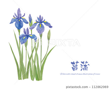 用手寫字母寫的藍色鳶尾花的插圖 112862069