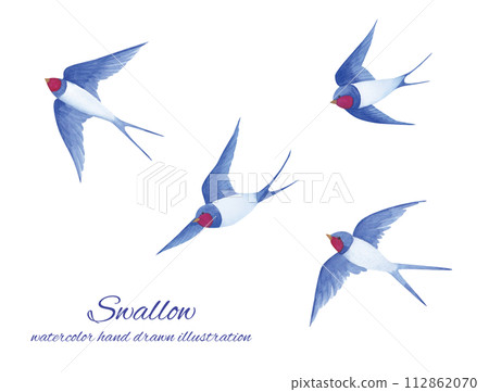 燕子水彩手繪向量圖 112862070