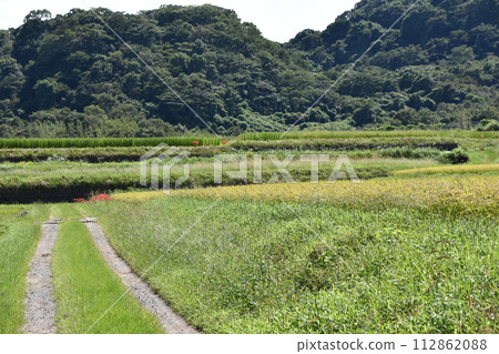 A straight road under the blue sky 112862088