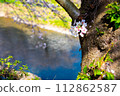 河流和櫻花 112862587