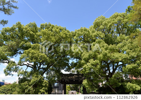 Kyoto Imperial Palace Gate Kyoto Imperial Palace Gate 112862926