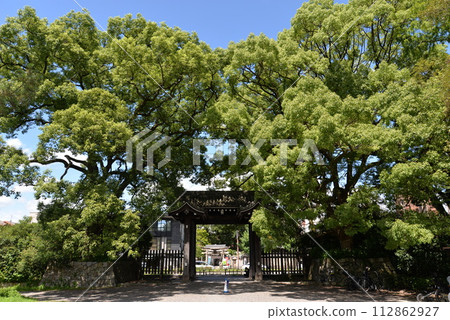 Kyoto Imperial Palace Gate Kyoto Imperial Palace Gate 112862927