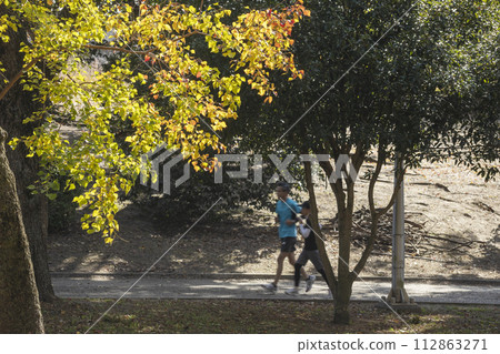 黃葉和在森林中漫步的人們的風景 - 3 112863271