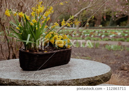 Large round stone table on beautiful terrace, patio garden. Empty Place to relax outdoor in backyard. Vintage Potted flowers. Cozy little back yard terrace Large round stone table on beautiful terrace, patio garden. Empty Place to relax outdoor in backyard. Vintage Potted flowers. Cozy little back yard terrace 112863711