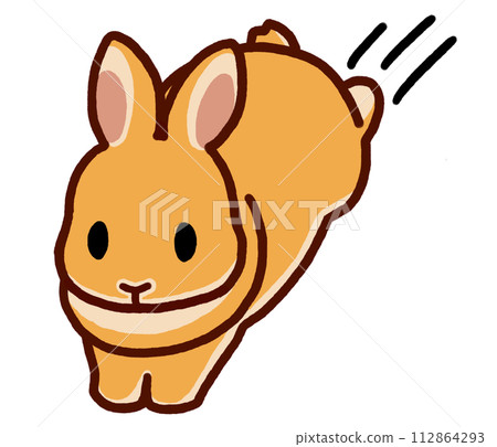 jumping orange rabbit 112864293