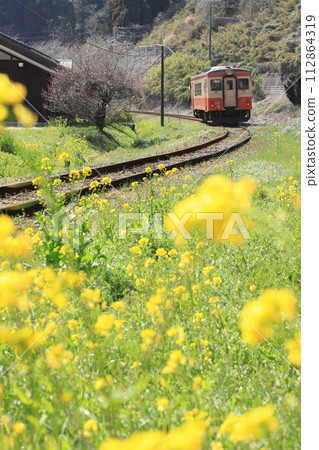 Isumi Railway “Scenery along the line with rape blossoms blooming in mid-March” Isumi Railway “Scenery along the line with rape blossoms blooming in mid-March” 112864319