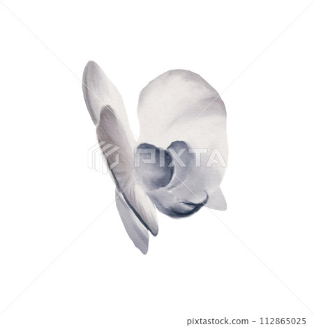 Watercolor illustration of a white orchid flower in cool shades close-up on a white background. Tropical plants for greeting card, frame border flowers, wedding stationery, background, postcard. Watercolor illustration of a white orchid flower in cool shades close-up on a white background. Tropical plants for greeting card, frame border flowers, wedding stationery, background, postcard. 112865025