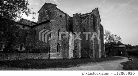 Ruin of the medieval Cistercian monastery San Galgano in the Tuscany 112865920