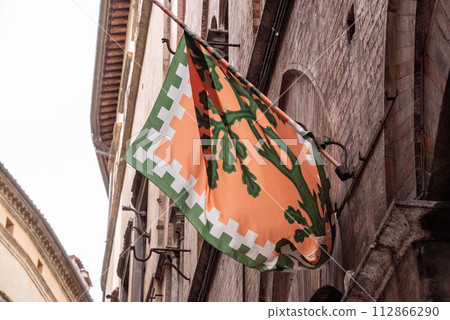 Contrade flag of the Selva-Rhino city district hanging in a street in downtown Siena 112866290
