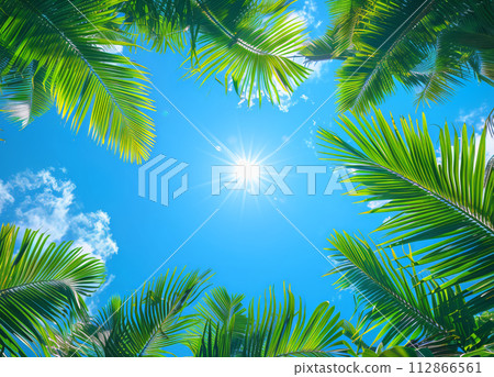 Sunlight filtering through vibrant palm leaves in a clear sky 112866561