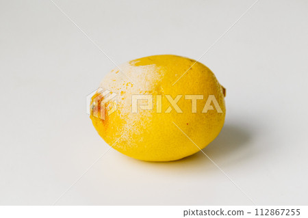 Rotten lemons. Mold lemon on white 112867255