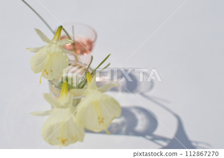 小玻璃杯中的奶油色純種水仙花 小玻璃杯中的奶油色純種水仙花 112867270