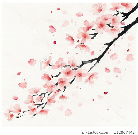 櫻花水彩插圖 112867442