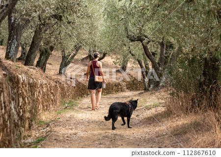 A female tourist walking with her dog on a path among olive trees in the Tuscany 112867610