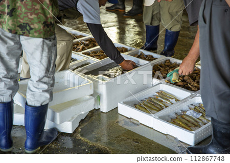 魚市場拍賣現場 魚市場拍賣現場 112867748