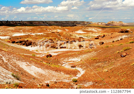 Alien Landscape Petrified Forest National Park Arizona Alien Landscape Petrified Forest National Park Arizona 112867794