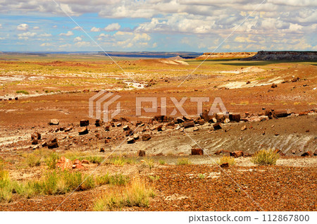 Alien Landscape Petrified Forest National Park Arizona Alien Landscape Petrified Forest National Park Arizona 112867800