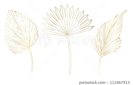 Gold tropical Palm Leaves. Vector illustration with exotic plants on isolated background in linear style. Outline drawing of branches. Line art for modern luxury design. Botanical sketch of foliage. Gold tropical Palm Leaves. Vector illustration with exotic plants on isolated background in linear style. Outline drawing of branches. Line art for modern luxury design. Botanical sketch of foliage. 112867913