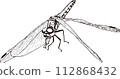 Vector image of a perched dragonfly 112868432