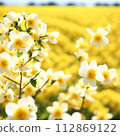 黃色的花朵到處都是 112869122