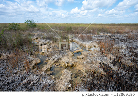 Solution holes in limestone exposed after prescribed fire in Everglades. 112869180