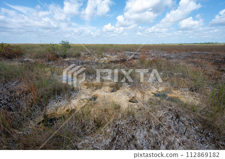 Solution holes in limestone exposed after prescribed fire in Everglades. 112869182