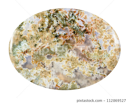 cabochon from polished moss agate mineral isolated 112869527
