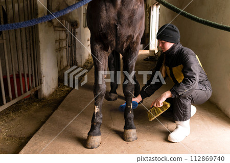 Person brushing horse's legs in stable Person brushing horse's legs in stable 112869740