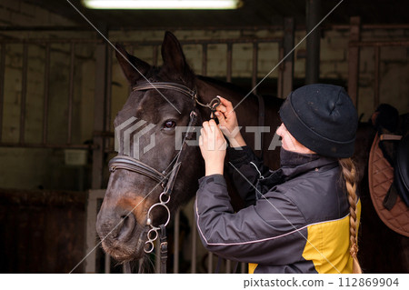 Person fitting bridle to horse in stable. Person fitting bridle to horse in stable. 112869904