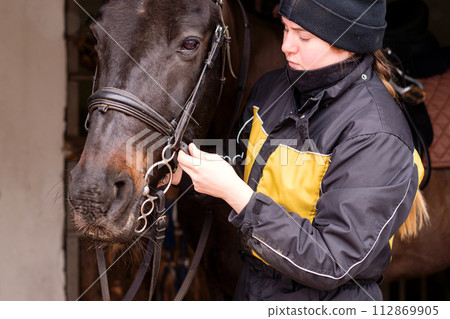 Person fitting bridle to horse in stable. Person fitting bridle to horse in stable. 112869905