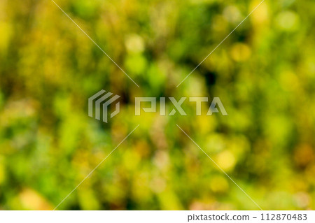 Green blurred background 112870483