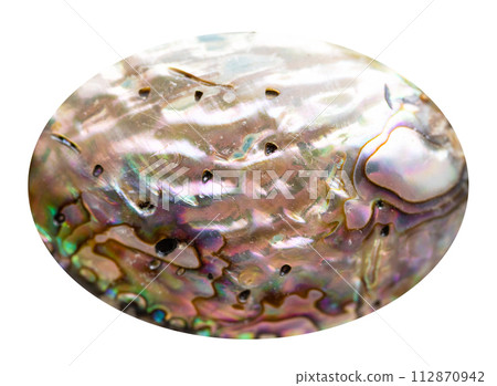 cabochon from natural haliotis gemstone isolated cabochon from natural haliotis gemstone isolated 112870942