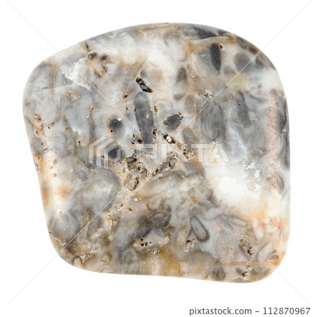 tumbled oncolite mineral isolated on white tumbled oncolite mineral isolated on white 112870967
