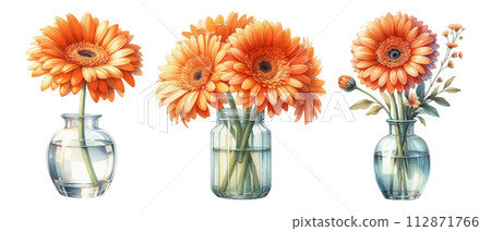 Watercolor illustration material set of orange gerberas in a glass vase Watercolor illustration material set of orange gerberas in a glass vase 112871766