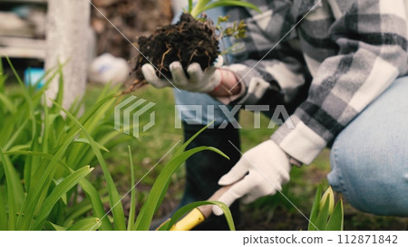 farmer digs ground with shovel, shovel, hands planting green sprout ground, agriculture, forest reforestation, planting sprout by hand, industry, agriculture concept, harvest hand man holding small farmer digs ground with shovel, shovel, hands planting green sprout ground, agriculture, forest reforestation, planting sprout by hand, industry, agriculture concept, harvest hand man holding small 112871842