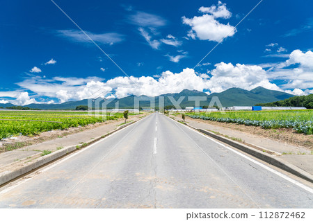 [Yamanashi Prefecture] Yatsugatake/summer rural scenery 112872462