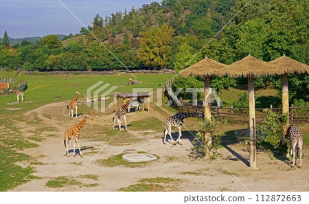 PRAGUE, CZECH REPUBLIC - 2023 112872663