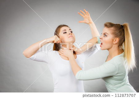 Two agressive women having argue fight Two agressive women having argue fight 112873707