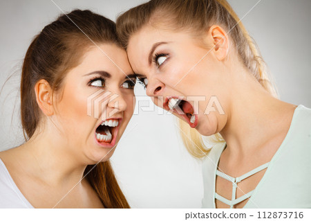 Two agressive women having argue fight Two agressive women having argue fight 112873716