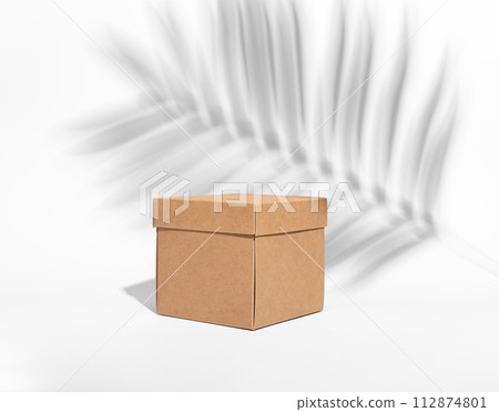Craft beige box, kraft cardboard, palm leaf shadow 112874801
