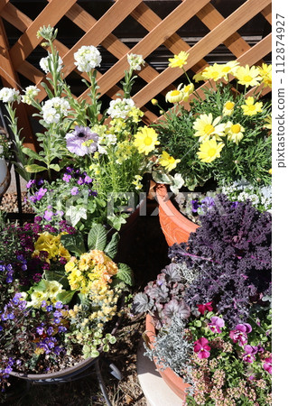Colorful spring flowers and pots 112874927