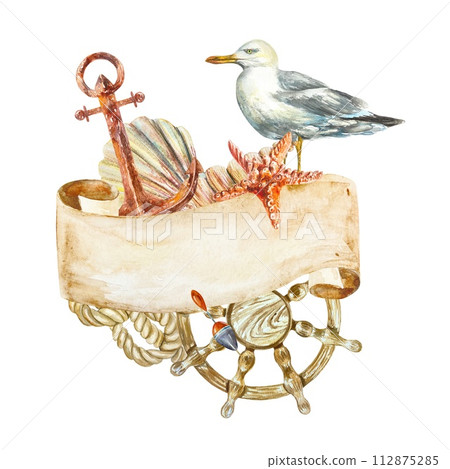 Sea helm, seagull, anchor, seaweed, starfish, shell on white background. Hand drawn watercolor illustration for cards, invitations, banners, posters. 112875285