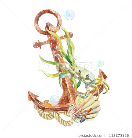 Anchor, seaweed, shell, sea rope, crab on white background. Hand drawn watercolor illustration for cards, invitations nautical banners, posters. Anchor, seaweed, shell, sea rope, crab on white background. Hand drawn watercolor illustration for cards, invitations nautical banners, posters. 112875556