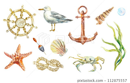 Seagull, shell, rope, starfish, anchor, seaweed, crab, sea set isolated on white background. Hand drawn watercolor illustration for cards, sea banners Seagull, shell, rope, starfish, anchor, seaweed, crab, sea set isolated on white background. Hand drawn watercolor illustration for cards, sea banners 112875557