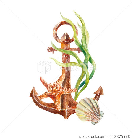 Anchor, seaweed, starfish, shell isolated on white background. Hand drawn watercolor illustration for cards, invitations, nautical banners, posters. 112875558