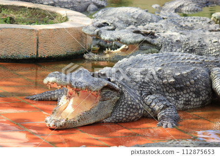 不要錯過！越南胡志明市觀光景點：越南美食、粉色教堂、奇異遺址、夜景 112875653