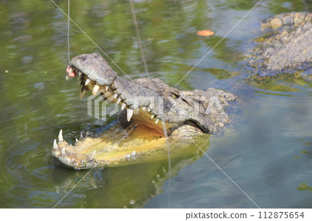 Don't miss it! Sightseeing spots in Ho Chi Minh City, Vietnam: Vietnamese cuisine, pink churches, bizarre heritage sites, night views 112875654