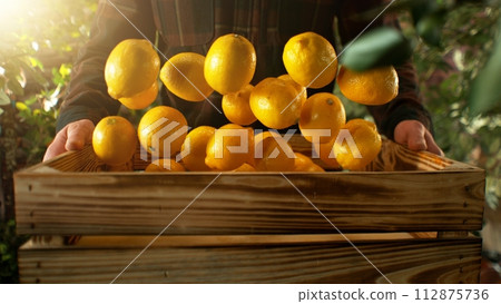 Closeup of Farmer Holding Wooden Crate with Falling Lemons. Closeup of Farmer Holding Wooden Crate with Falling Lemons. 112875736